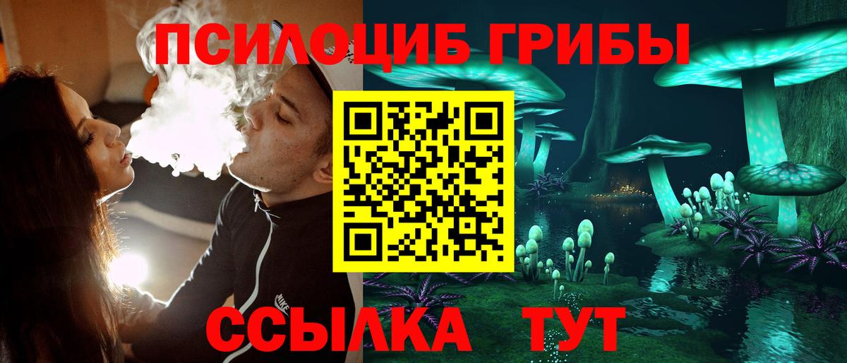 хочу наркоту  Галлюциногенные грибы Psilocybine cubensis  Тольятти  Вход с VPN  Псилоцибиновые грибы ЛСД 